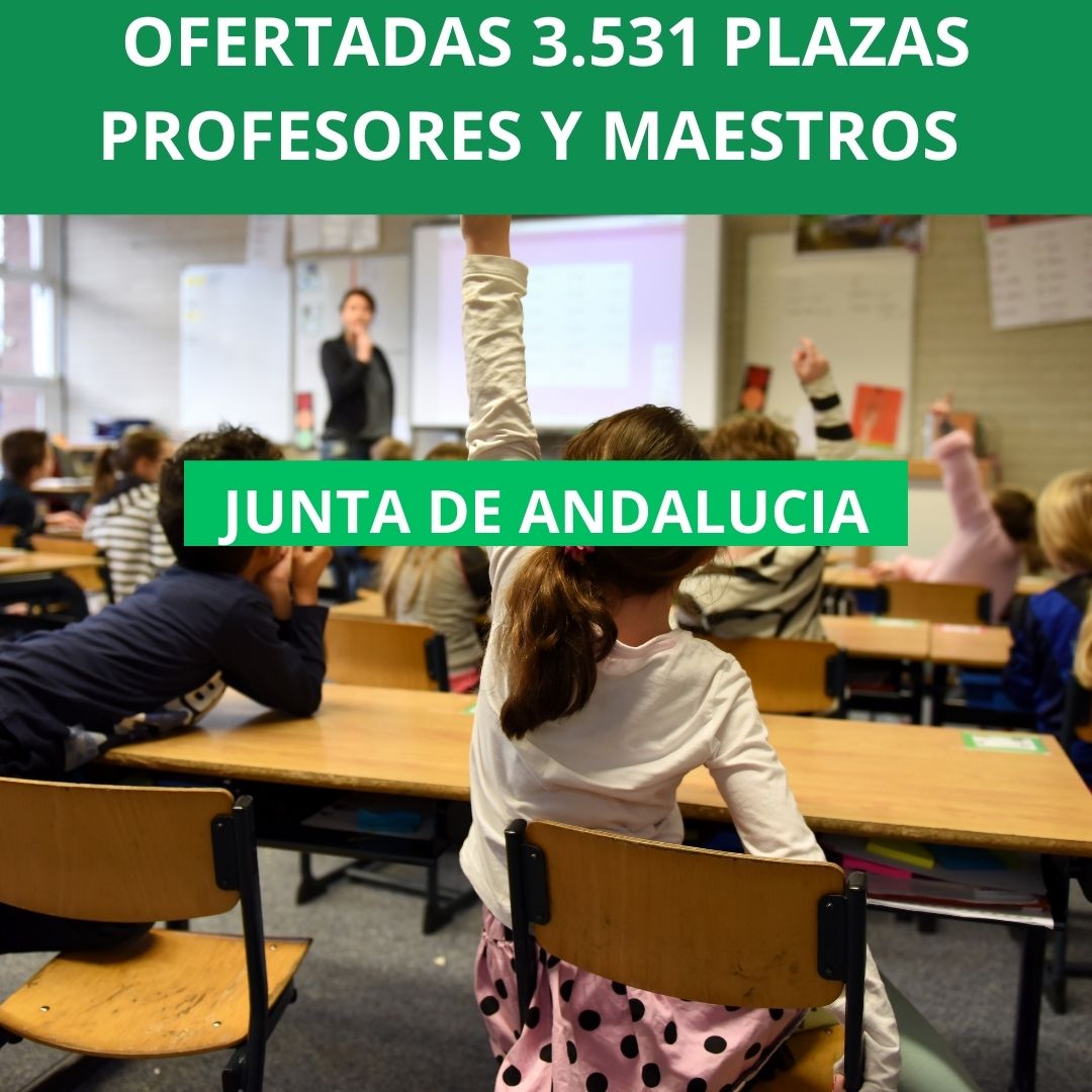 OFERTADAS 3.531PLAZAS PROFESORES Y MAESTROS