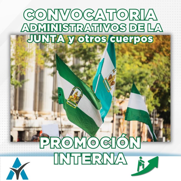 Promoción Interna Junta