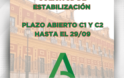 COMO PRESENTAR LA SOLICITUD DE ESTABILIZACIÓN DE LA JUNTA