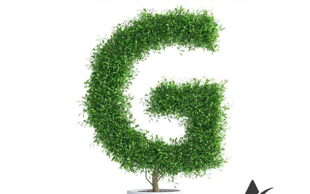 SORTEO LETRA OPOSICIONES JUNTA 2024: LETRA G.