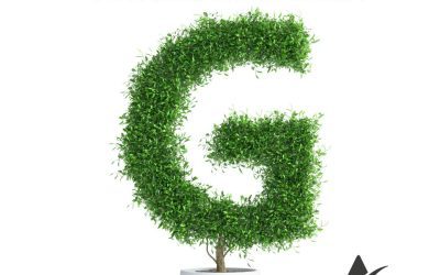 SORTEO LETRA OPOSICIONES JUNTA 2024: LETRA G.